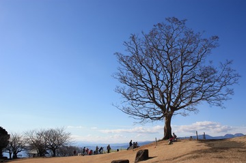 IMG_5581.jpg