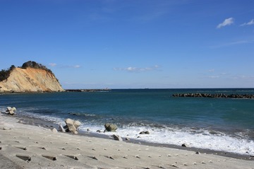 IMG_5638.jpg