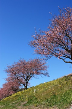 IMG_5664.jpg