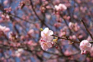 IMG_5672.jpg