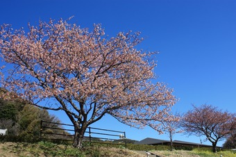 IMG_5680.jpg