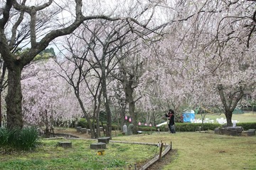 IMG_5834.jpg