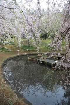 IMG_5847.jpg