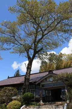 IMG_5976.jpg