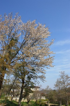 IMG_6071.jpg