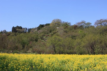 IMG_6073.jpg