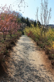 IMG_6078.jpg