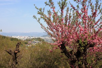 IMG_6092.jpg