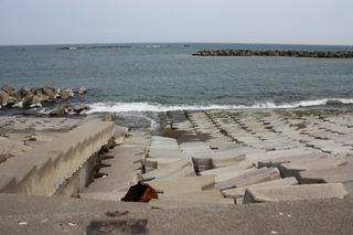IMG_6128.jpg