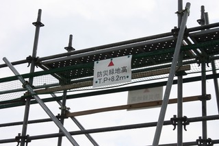 IMG_6374.jpg