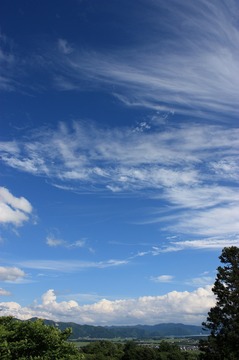 IMG_6398.jpg