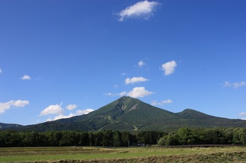 IMG_6405.jpg