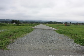IMG_6437.jpg