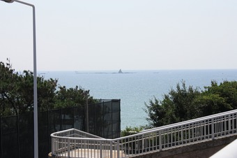 IMG_6533.jpg