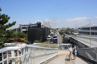 IMG_6536.jpg