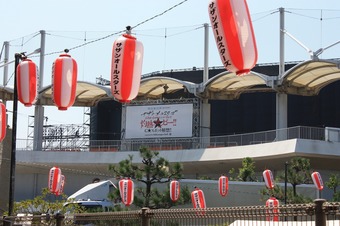 IMG_6538.jpg