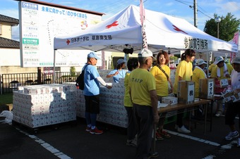 IMG_6558.jpg