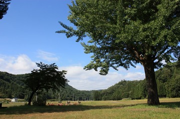 IMG_6572.jpg