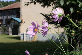 IMG_6580.jpg