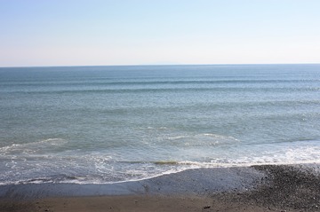 IMG_6634.jpg