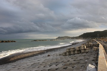 IMG_6824.jpg
