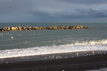 IMG_6829.jpg