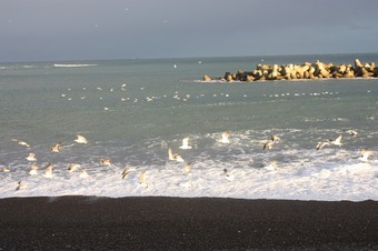 IMG_6830.jpg