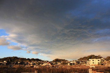 IMG_6839.jpg