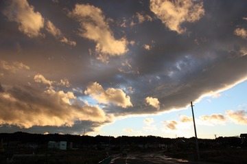 IMG_6849.jpg
