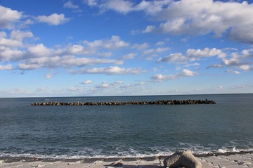IMG_6897.jpg
