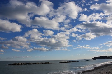 IMG_6901.jpg