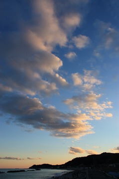 IMG_6927.jpg