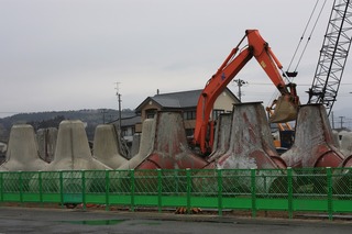 IMG_6987.jpg