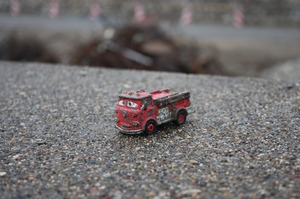 IMG_7028.jpg