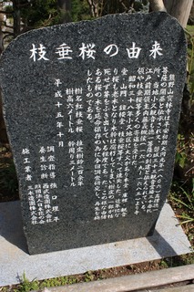 IMG_7161.jpg