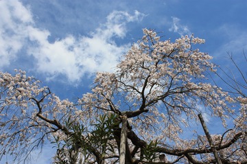 IMG_7164.jpg