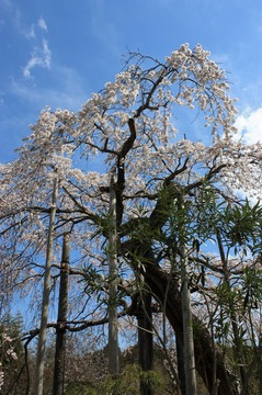 IMG_7165.jpg