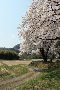 IMG_7222.jpg
