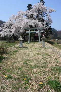 IMG_7227.jpg