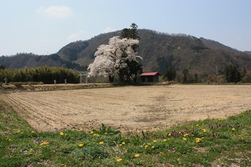 IMG_7237.jpg