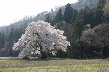 IMG_7294.jpg