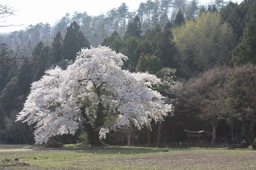 IMG_7296.jpg