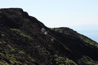 IMG_7447.jpg