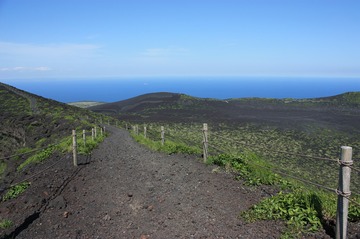 IMG_7450.jpg