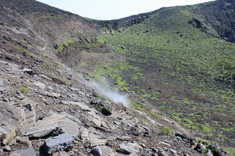 IMG_7456.jpg