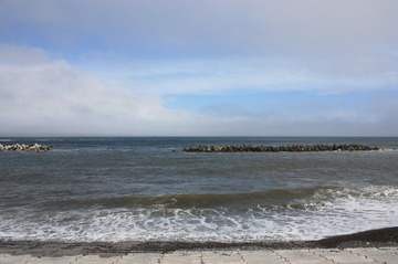 IMG_7538.jpg