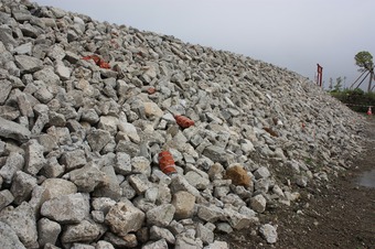 IMG_7542.jpg