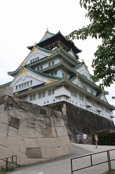 IMG_7556.jpg