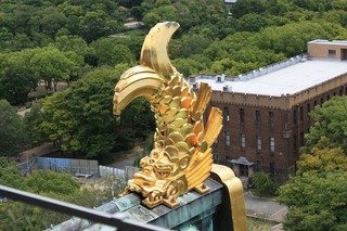 IMG_7564.jpg