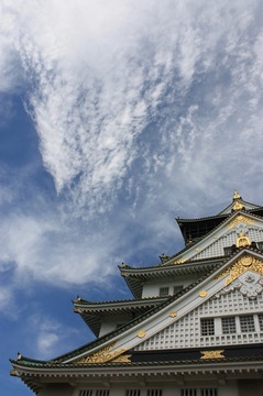 IMG_7576.jpg